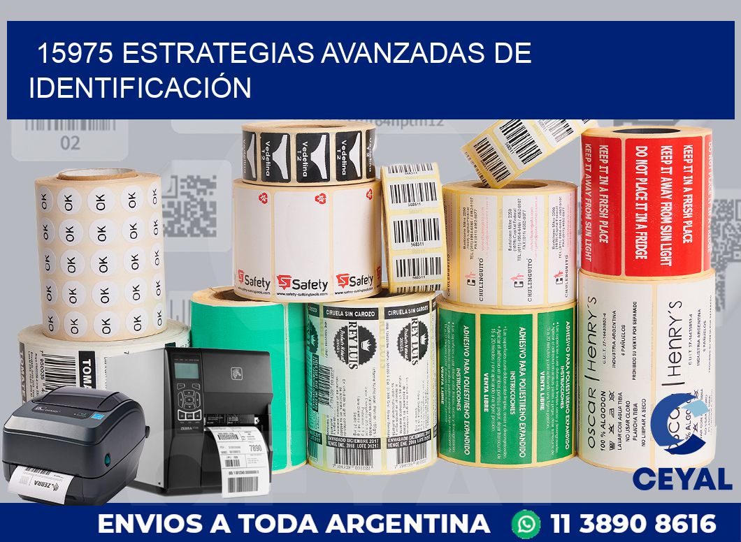 15975 ESTRATEGIAS AVANZADAS DE IDENTIFICACIÓN