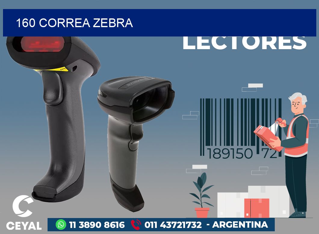160 CORREA ZEBRA