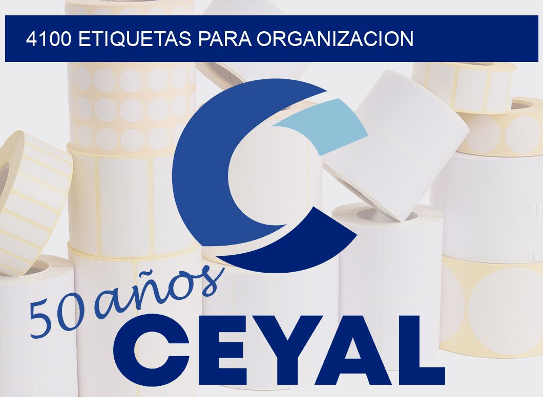 4100 ETIQUETAS PARA ORGANIZACION