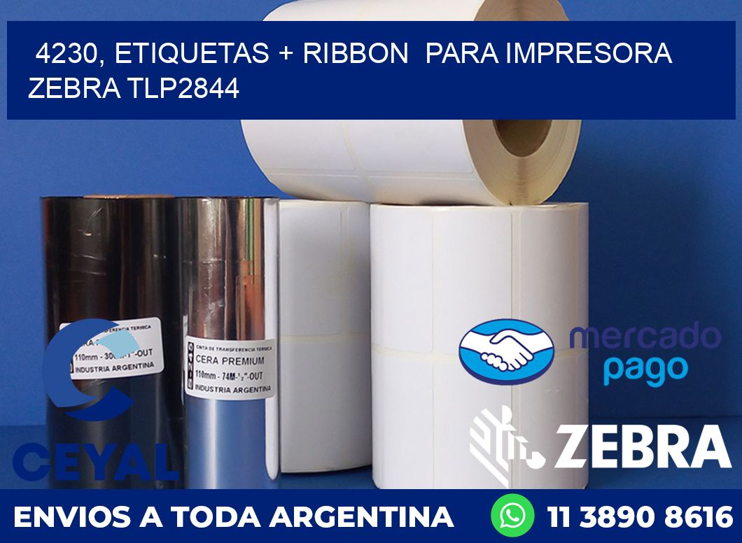 4230, etiquetas + ribbon para impresora zebra TLP2844