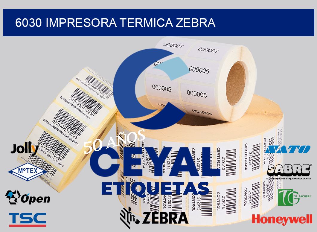 6030 IMPRESORA TERMICA ZEBRA