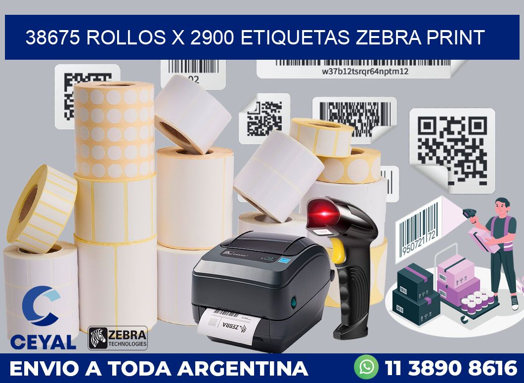38675 Rollos x 2900 etiquetas zebra print