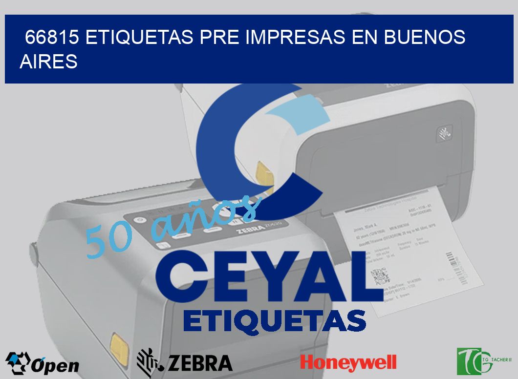 66815 ETIQUETAS PRE IMPRESAS EN BUENOS AIRES