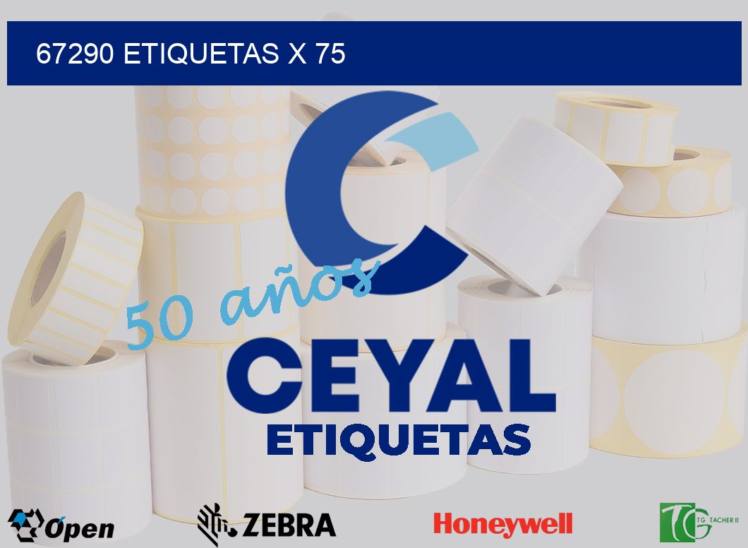 67290 Etiquetas x 75