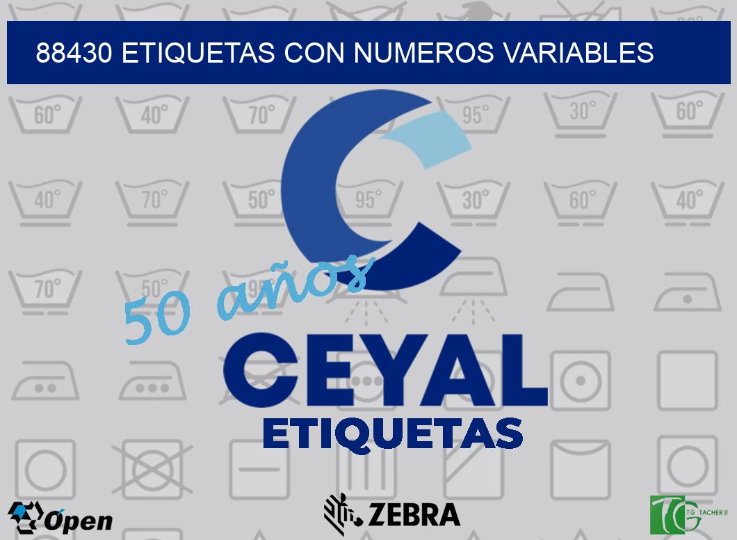 88430 ETIQUETAS CON NUMEROS VARIABLES
