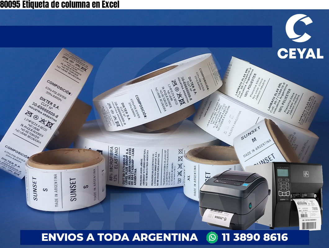 80095 Etiqueta de columna en Excel