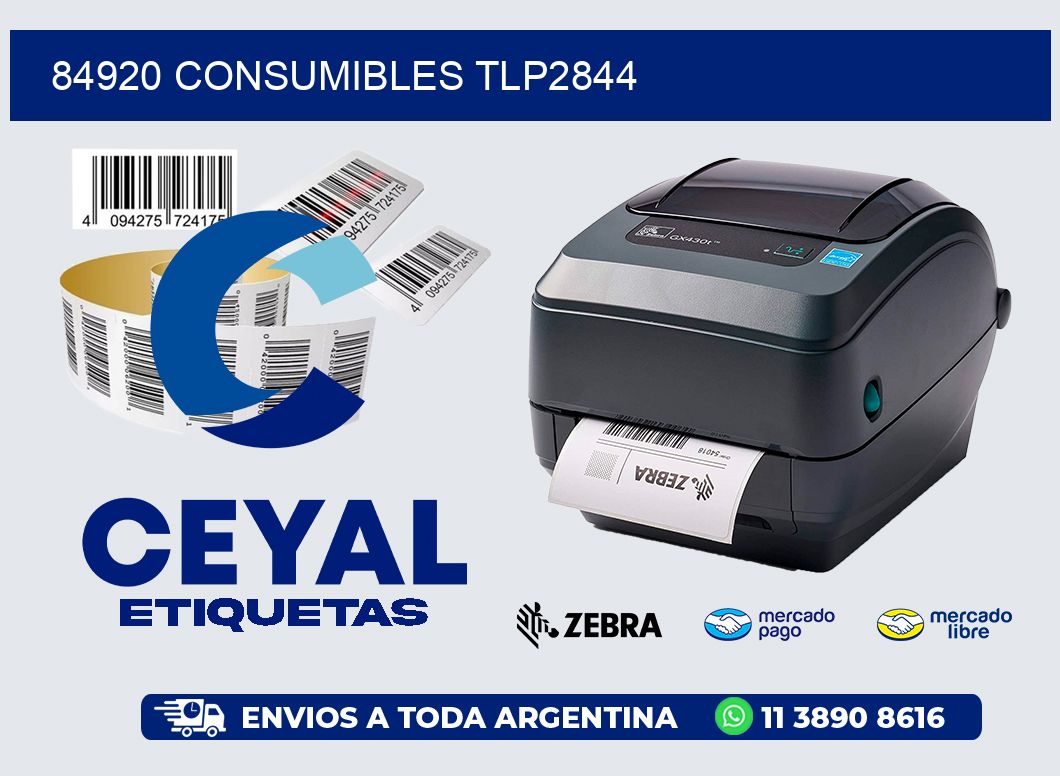 84920 CONSUMIBLES TLP2844