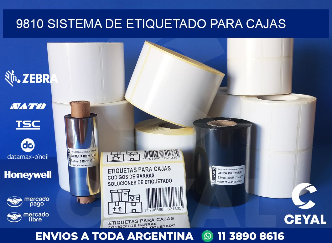 9810 SISTEMA DE ETIQUETADO PARA CAJAS