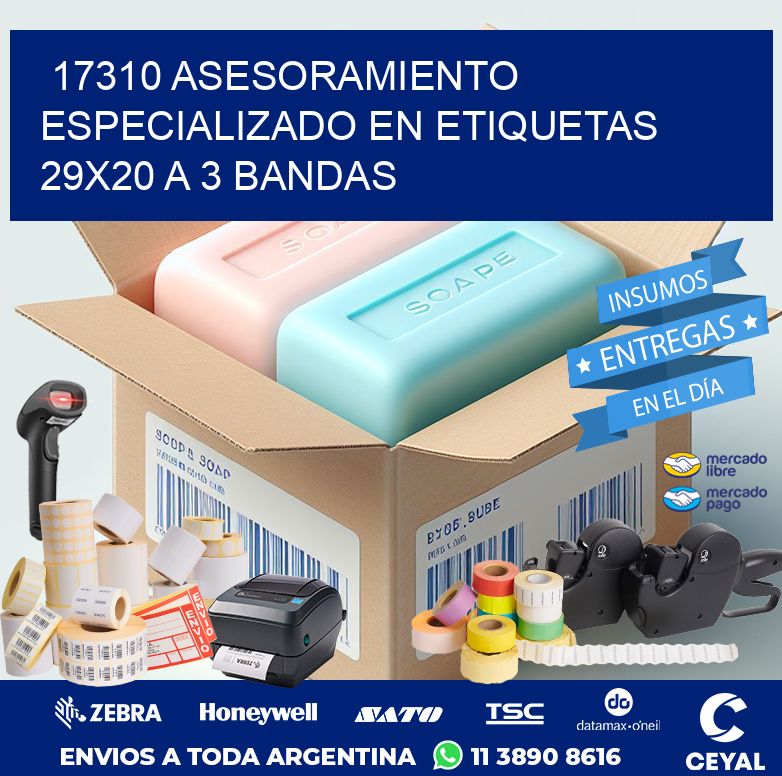 17310 ASESORAMIENTO ESPECIALIZADO EN ETIQUETAS 29X20 A 3 BANDAS