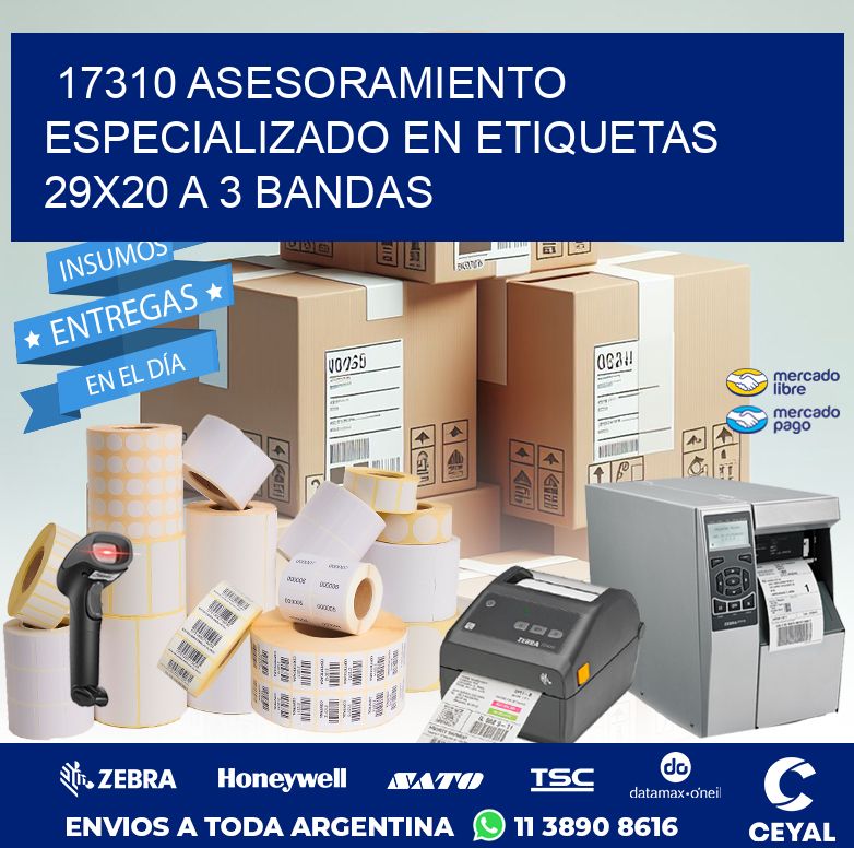 17310 ASESORAMIENTO ESPECIALIZADO EN ETIQUETAS 29X20 A 3 BANDAS
