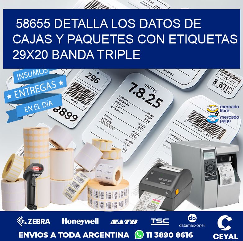 58655 DETALLA LOS DATOS DE CAJAS Y PAQUETES CON ETIQUETAS 29X20 BANDA TRIPLE