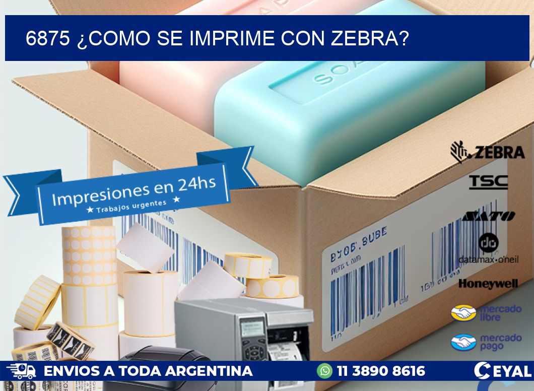 6875 ¿COMO SE IMPRIME CON ZEBRA?