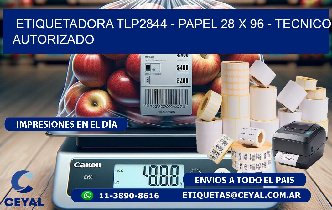 ETIQUETADORA TLP2844 - PAPEL 28 x 96 - TECNICO AUTORIZADO