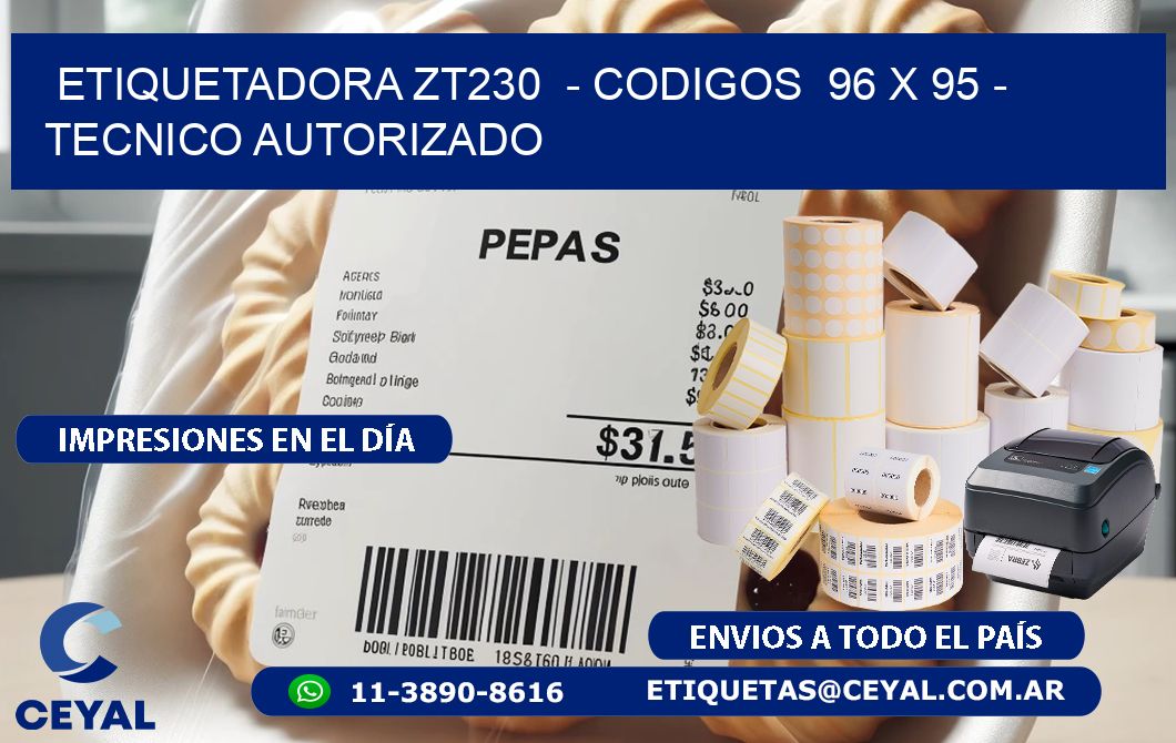 ETIQUETADORA ZT230  - CODIGOS  96 x 95 - TECNICO AUTORIZADO