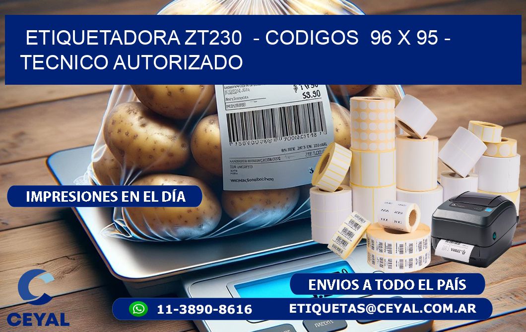 ETIQUETADORA ZT230  - CODIGOS  96 x 95 - TECNICO AUTORIZADO