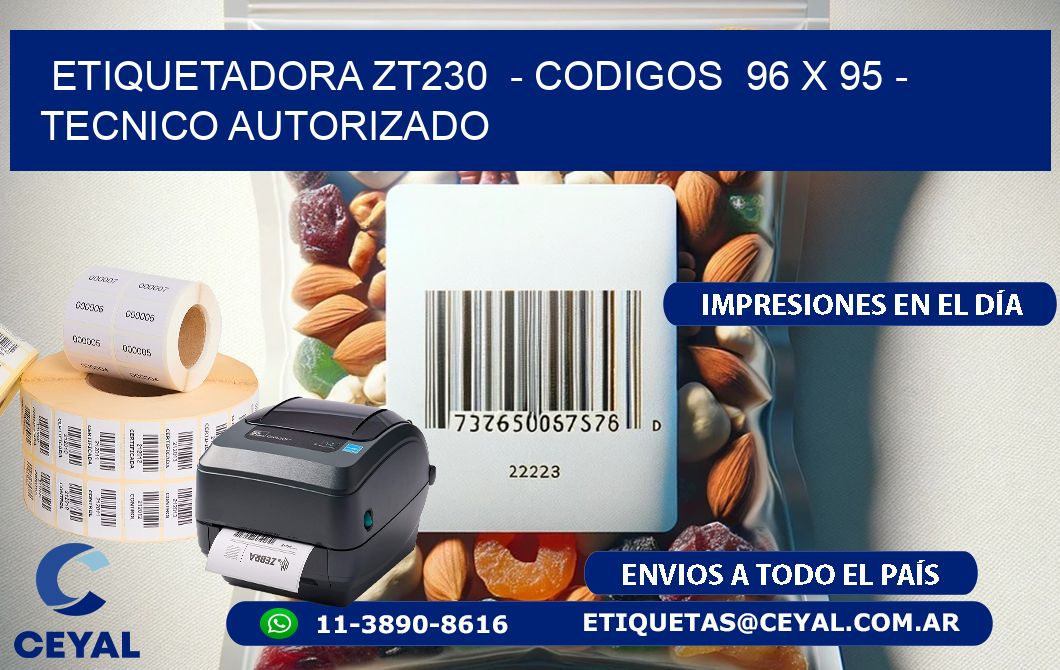 ETIQUETADORA ZT230  - CODIGOS  96 x 95 - TECNICO AUTORIZADO