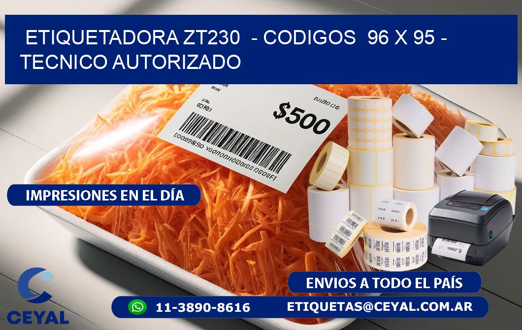 ETIQUETADORA ZT230  - CODIGOS  96 x 95 - TECNICO AUTORIZADO