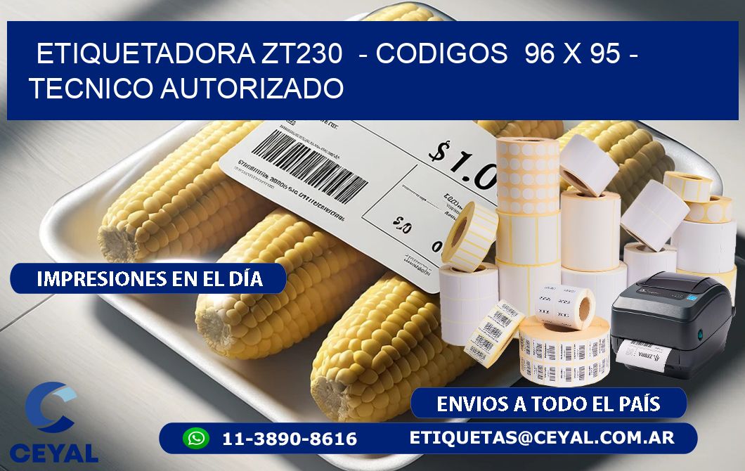 ETIQUETADORA ZT230  – CODIGOS  96 x 95 – TECNICO AUTORIZADO