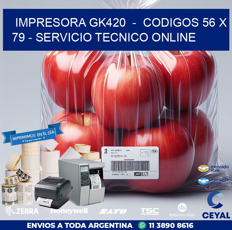 IMPRESORA GK420  –  CODIGOS 56 x 79 – SERVICIO TECNICO ONLINE