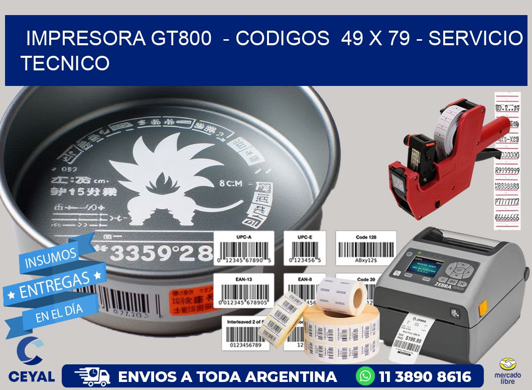 IMPRESORA GT800  - CODIGOS  49 x 79 - SERVICIO TECNICO