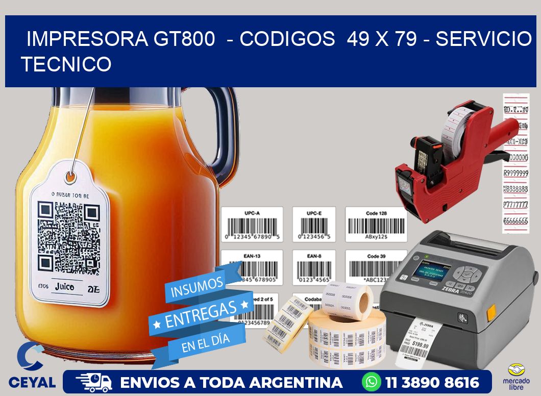 IMPRESORA GT800  - CODIGOS  49 x 79 - SERVICIO TECNICO