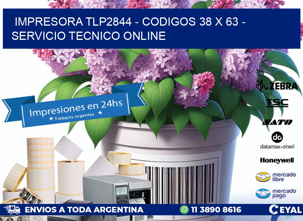 IMPRESORA TLP2844 - CODIGOS 38 x 63 - SERVICIO TECNICO ONLINE