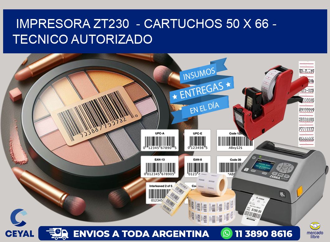 IMPRESORA ZT230  - CARTUCHOS 50 x 66 - TECNICO AUTORIZADO