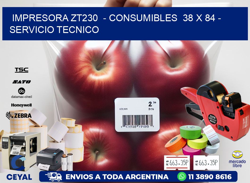 IMPRESORA ZT230  - CONSUMIBLES  38 x 84 - SERVICIO TECNICO