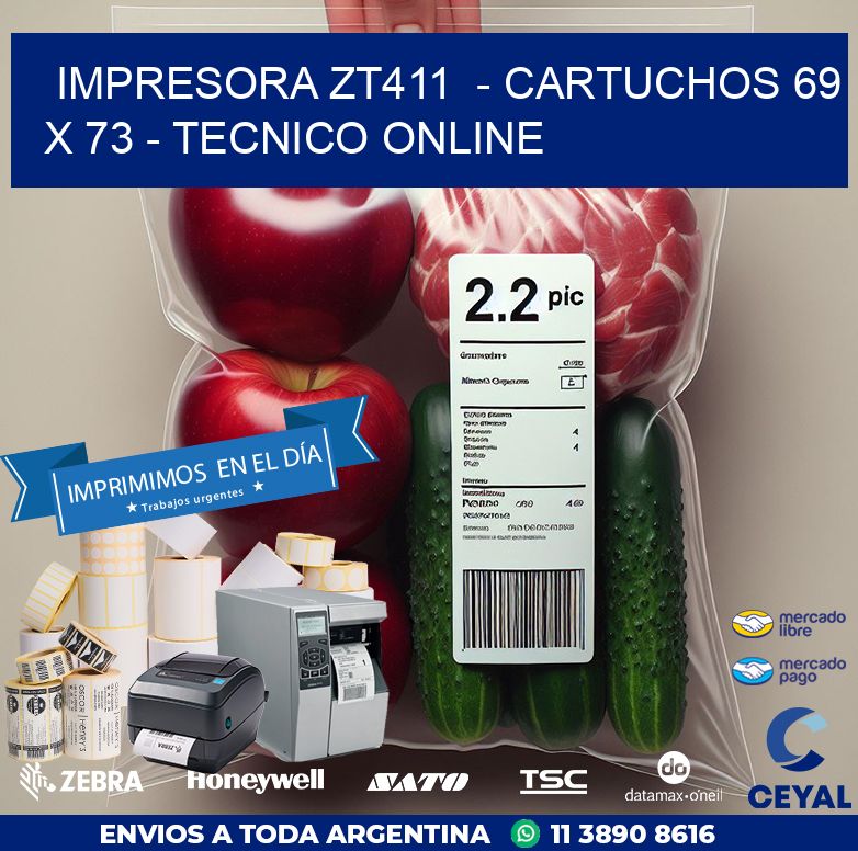 IMPRESORA ZT411  – CARTUCHOS 69 x 73 – TECNICO ONLINE