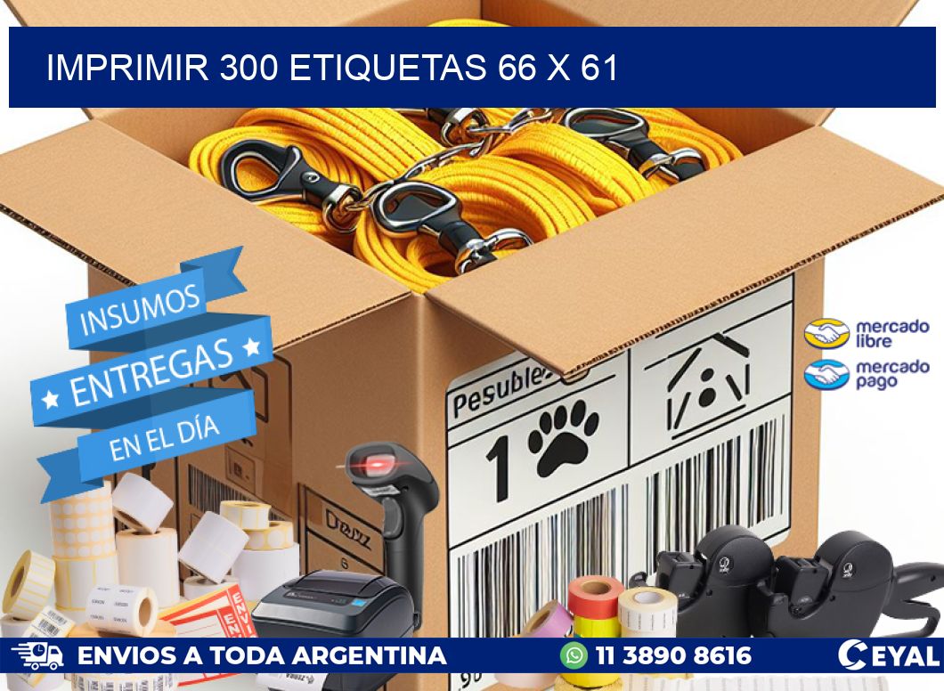 IMPRIMIR 300 ETIQUETAS 66 x 61