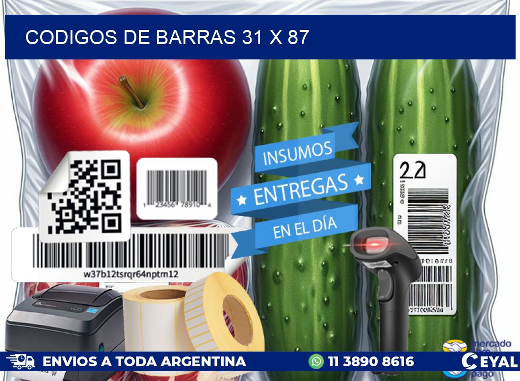 codigos de barras 31 x 87