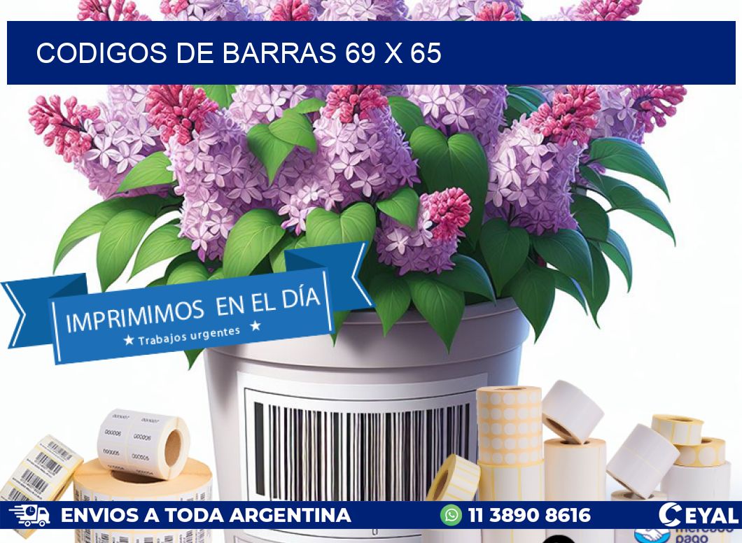 codigos de barras 69 x 65
