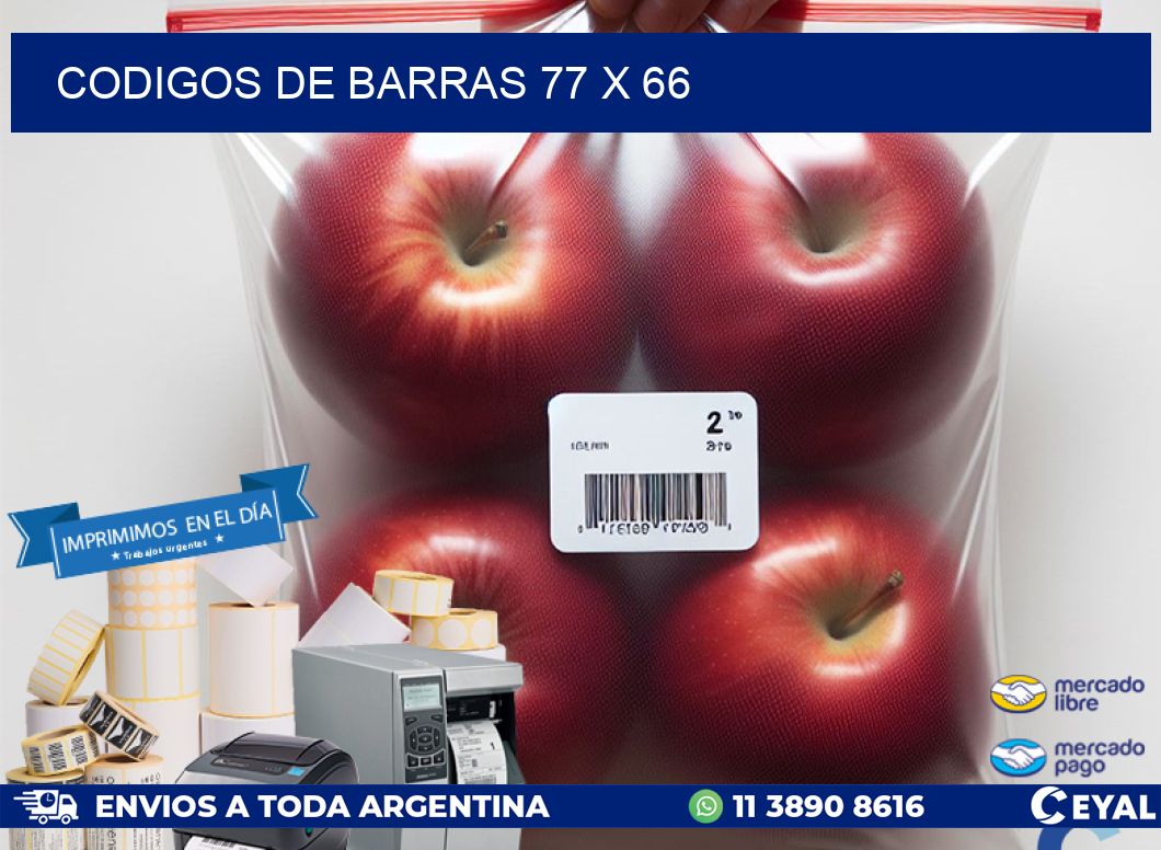 codigos de barras 77 x 66