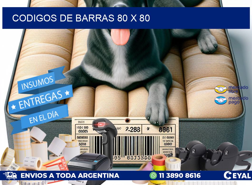 codigos de barras 80 x 80