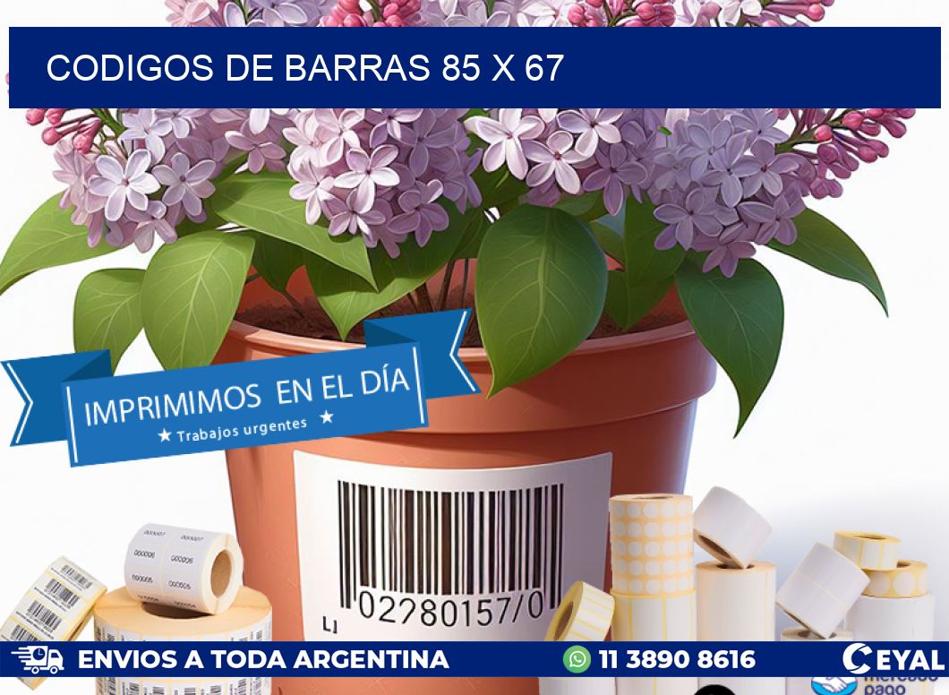 codigos de barras 85 x 67