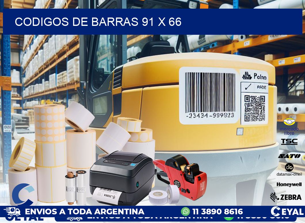 codigos de barras 91 x 66