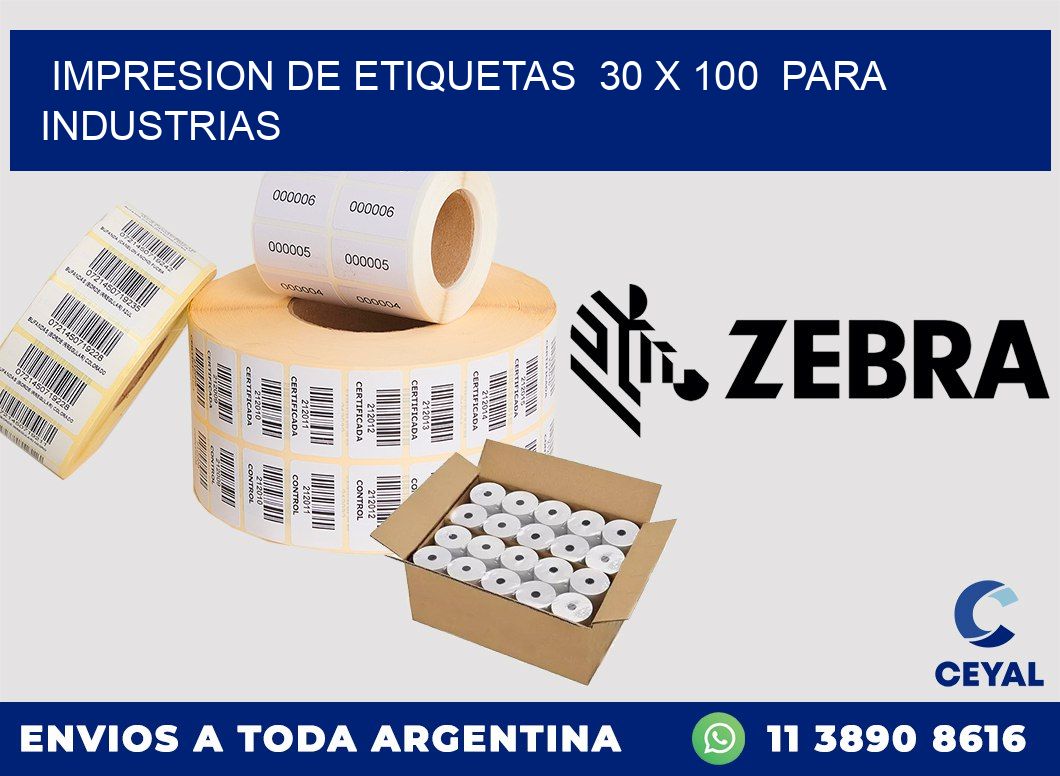 impresion de etiquetas  30 x 100  para industrias