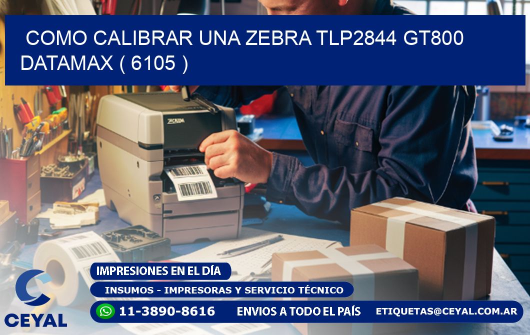 COMO CALIBRAR UNA ZEBRA TLP2844 GT800 DATAMAX ( 6105 )