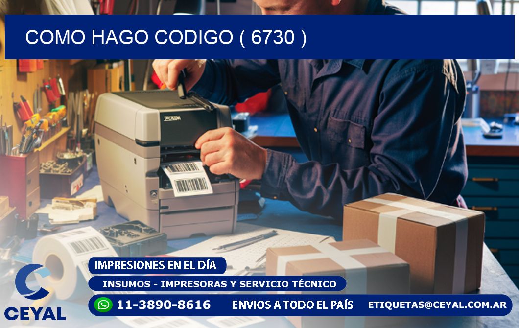 COMO HAGO CODIGO ( 6730 )