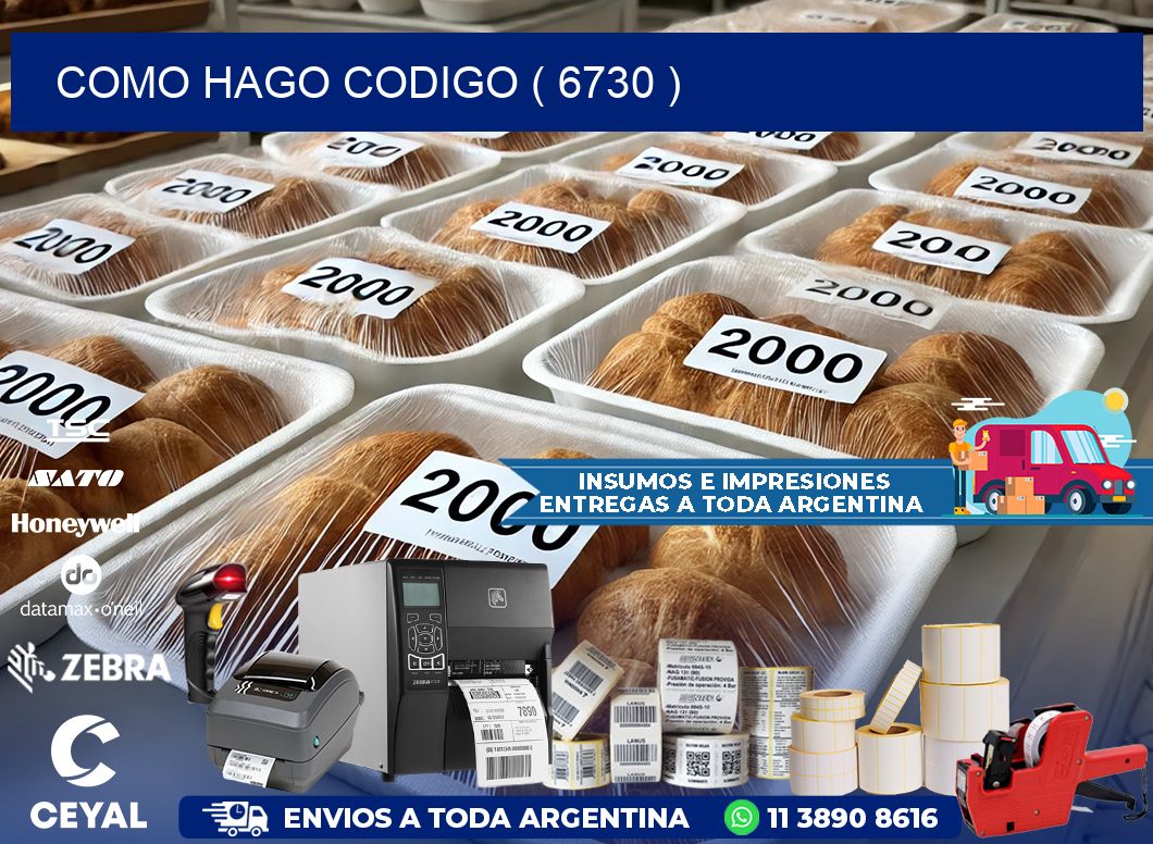 COMO HAGO CODIGO ( 6730 )