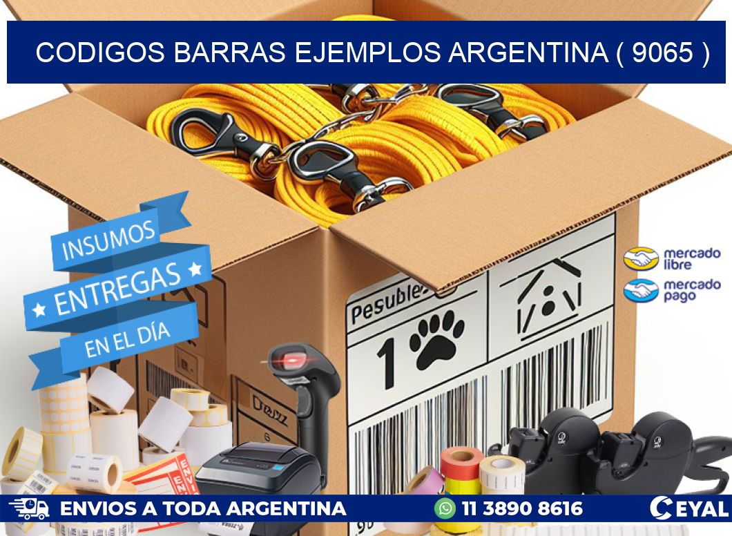 codigos barras ejemplos argentina ( 9065 )