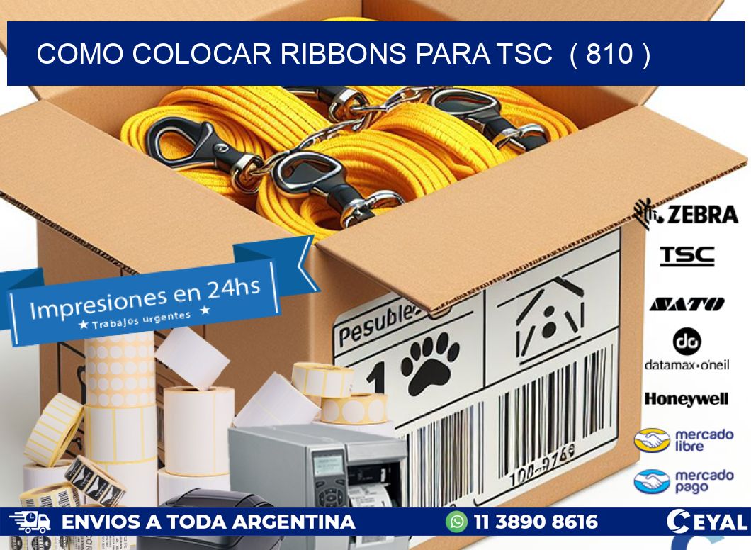 COMO COLOCAR RIBBONS PARA TSC  ( 810 )