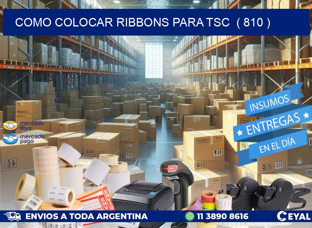 COMO COLOCAR RIBBONS PARA TSC  ( 810 )