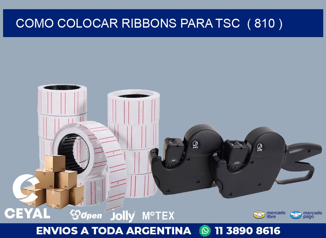 COMO COLOCAR RIBBONS PARA TSC  ( 810 )
