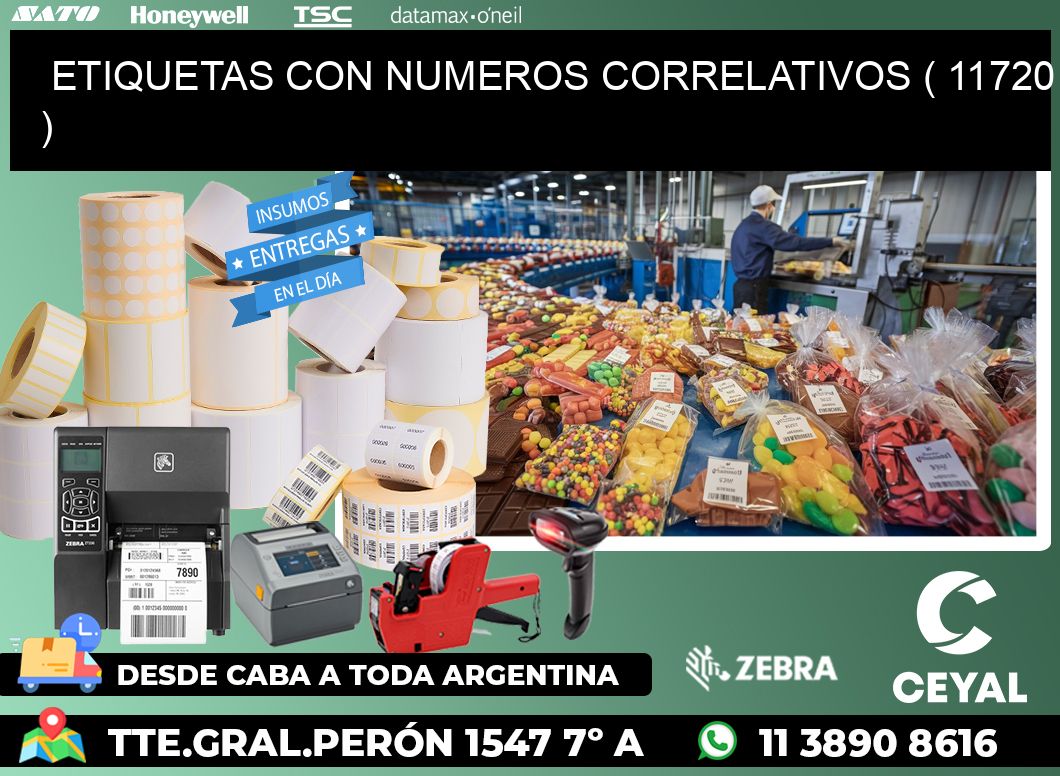 ETIQUETAS CON NUMEROS CORRELATIVOS ( 11720 )