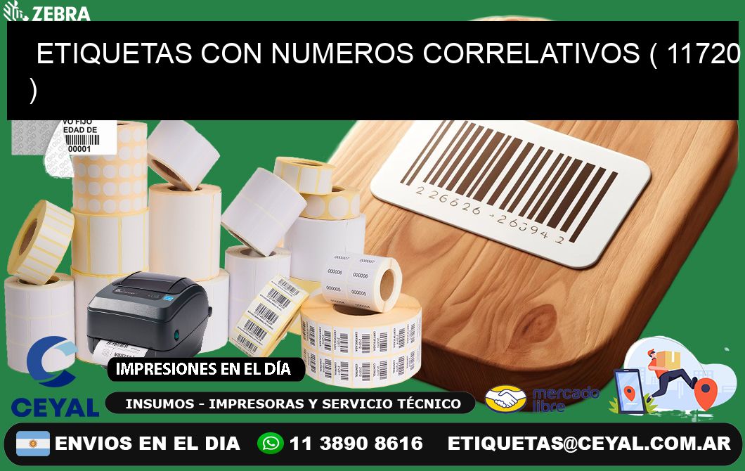 ETIQUETAS CON NUMEROS CORRELATIVOS ( 11720 )