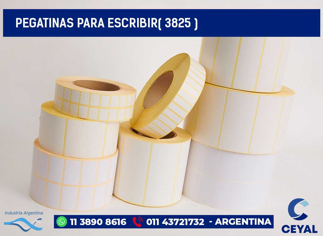 PEGATINAS PARA ESCRIBIR( 3825 )
