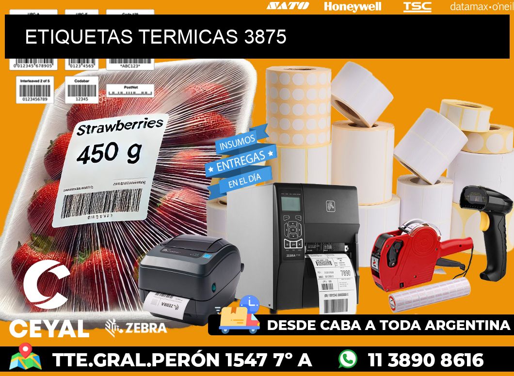 ETIQUETAS TERMICAS 3875