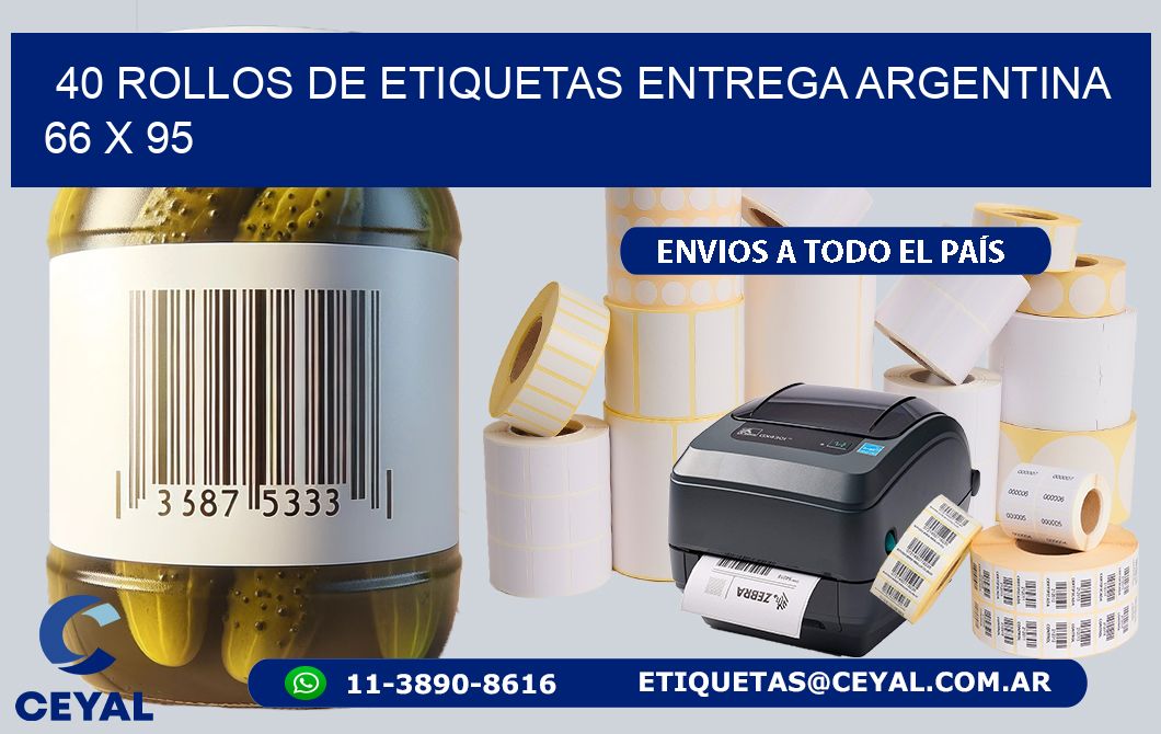 40 ROLLOS DE ETIQUETAS ENTREGA ARGENTINA 66 x 95