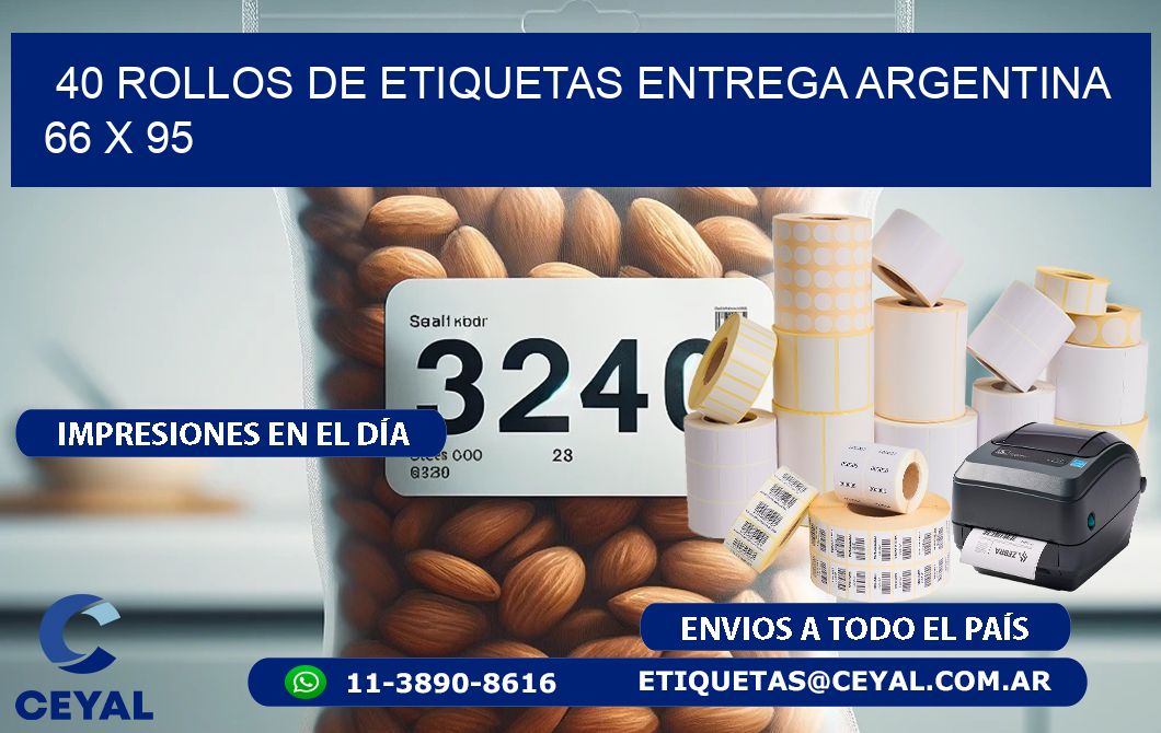 40 ROLLOS DE ETIQUETAS ENTREGA ARGENTINA 66 x 95